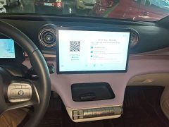 BYD Dolphin 401km Knight Edition - ფოტო 12