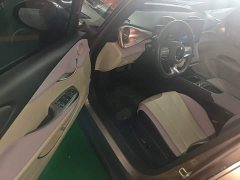 BYD Dolphin 401km Knight Edition - ფოტო 15