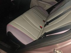 BYD Dolphin 401km Knight Edition - ფოტო 16