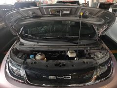 BYD Dolphin 401km Knight Edition - ფოტო 19