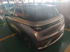BYD Dolphin 401km Knight Edition - ფოტო 4