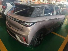 BYD Dolphin 401km Knight Edition - ფოტო 6