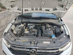 Volkswagen Tiguan L Outstanding Edition 300TSI Automatic FWD Dragon Ascendant Version - ფოტო 19
