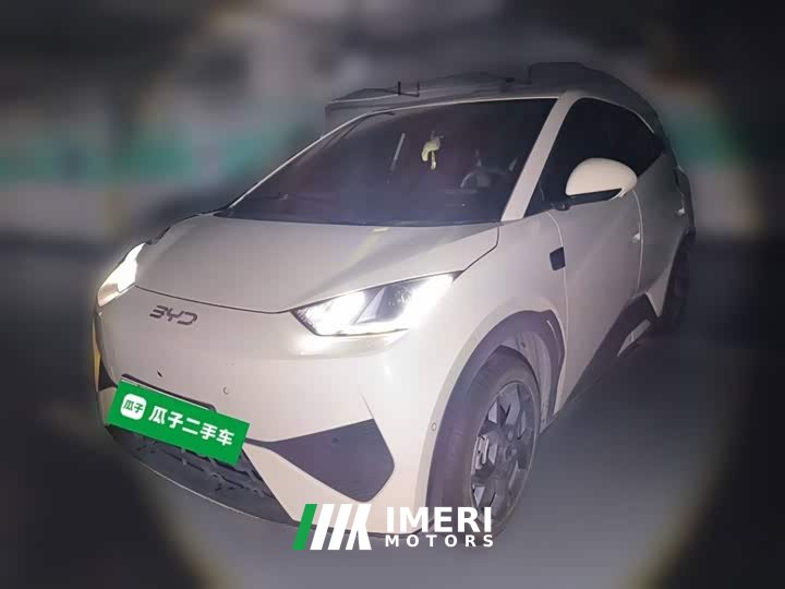 BYD Seagull Smart Driving Edition 305km Freedom Edition