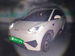 BYD Seagull Smart Driving Edition 305km Freedom Edition - ფოტო 1