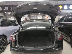 Tesla Model 3 Performance All-Wheel Drive - ფოტო 14