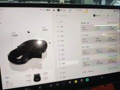 Tesla Model 3 Performance All-Wheel Drive - ფოტო 7