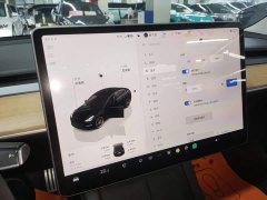 Tesla Model 3 Performance All-Wheel Drive - ფოტო 8