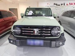 Tank 300 City Edition 2.0T Essential - ფოტო 2