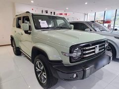 Tank 300 City Edition 2.0T Essential - ფოტო 3