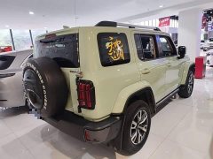Tank 300 City Edition 2.0T Essential - ფოტო 6