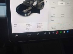 Tesla Model Y Standard Range RWD - фото 11