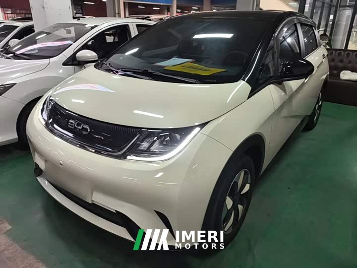 BYD Dolphin 420km Freedom Edition
