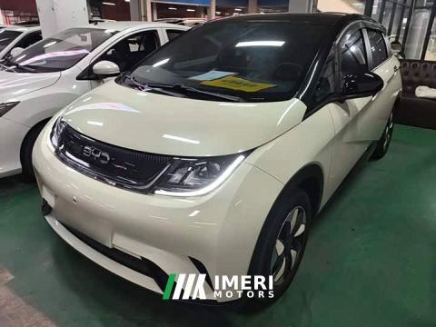 2025 BYD Dolphin 420km Freedom Edition