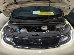 BYD Dolphin 420km Freedom Edition - фото 19