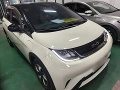 BYD Dolphin 420km Freedom Edition - фото 3