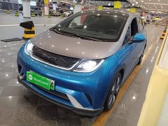BYD Dolphin 401km Knight Edition - ფოტო 1