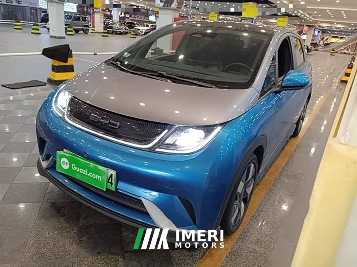 BYD Dolphin 401km Knight Edition