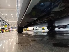 BYD Dolphin 401km Knight Edition - ფოტო 20