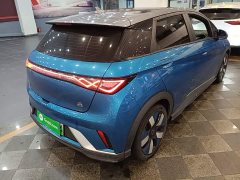 BYD Dolphin 401km Knight Edition - ფოტო 6