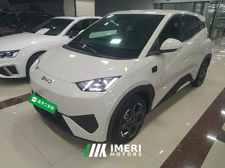 BYD Seagull Smart Driving Edition 305km Freedom Edition