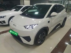 BYD Seagull Smart Driving Edition 305km Freedom Edition - ფოტო 1