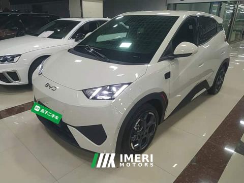 2026 BYD Seagull Smart Driving Edition 305km Freedom Edition
