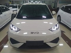 BYD Seagull Smart Driving Edition 305km Freedom Edition - ფოტო 2