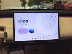 Nio Firefly Luminous Edition - ფოტო 12
