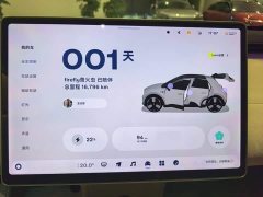 Nio Firefly Luminous Edition - ფოტო 3