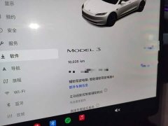 Tesla Model 3 Rear-Wheel Drive - ფოტო 11