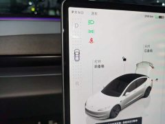 Tesla Model 3 Rear-Wheel Drive - ფოტო 13
