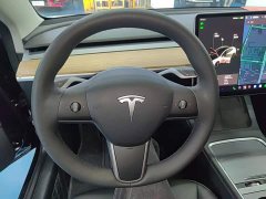Tesla Model 3 Standard Range RWD Upgrade 3D6 - ფოტო 10