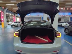 Tesla Model 3 Standard Range RWD Upgrade 3D6 - ფოტო 18