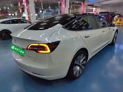 Tesla Model 3 Standard Range RWD Upgrade 3D6 - ფოტო 6