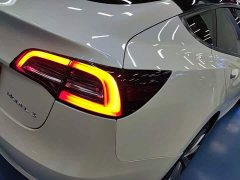 Tesla Model 3 Standard Range RWD Upgrade 3D6 - ფოტო 7