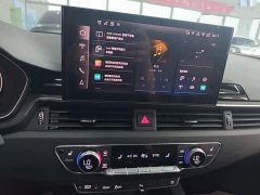 Audi A4L 200 Million Units Joyful Edition 40 TFSI Luxury Dynamic - ფოტო 17