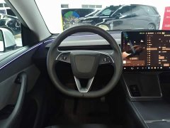 Tesla Model Y Rear-Wheel Drive - ფოტო 10