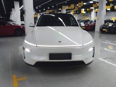 Tesla Model Y Rear-Wheel Drive - ფოტო 2