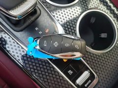 FAW Red Flag HS3 PHEV 117km Dynamic Edition - ფოტო 8