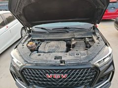 Tesla VGV U75PLUS 2.0TGDI Luxury pro 7-seater - ფოტო 19