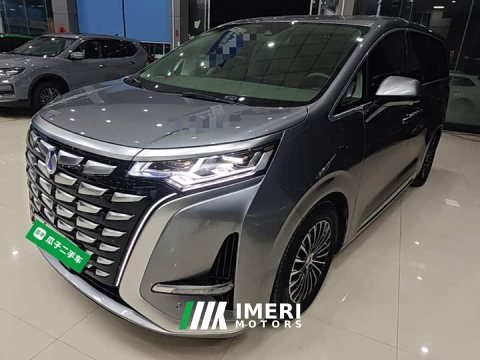 2024 Denza D9 DM-i 965 Premium Edition - ავტომობილი ჩინეთიდან
