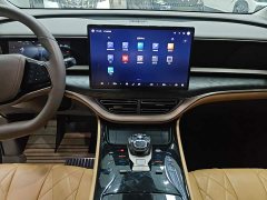 Denza D9 DM-i 965 Premium Edition - ფოტო 12