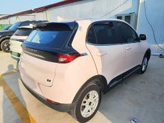 Dayun 300 Standard Edition - ფოტო 6
