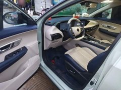 Dongfeng Haoji Mach Twin-Engine 1.5T MHD Dream Edition - ფოტო 15