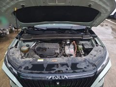 Dongfeng Haoji Mach Twin-Engine 1.5T MHD Dream Edition - ფოტო 19