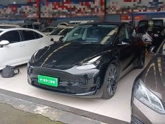 Tesla Model Y High Performance All-Wheel Drive - ფოტო 1