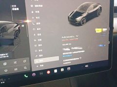 Tesla Model Y High Performance All-Wheel Drive - ფოტო 11