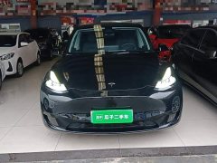 Tesla Model Y High Performance All-Wheel Drive - ფოტო 2