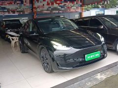 Tesla Model Y High Performance All-Wheel Drive - ფოტო 3